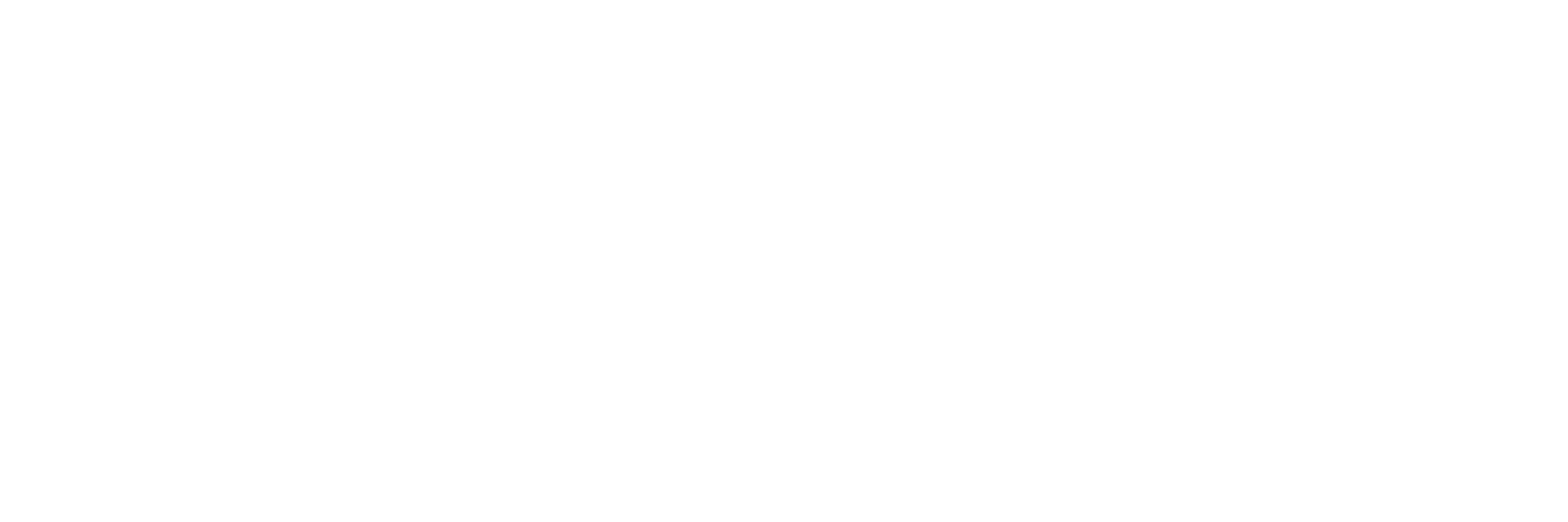 Newman University Birmingham Logo